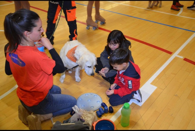 Un amico a 4 zampe: la pet therapy di scena a Sirtori