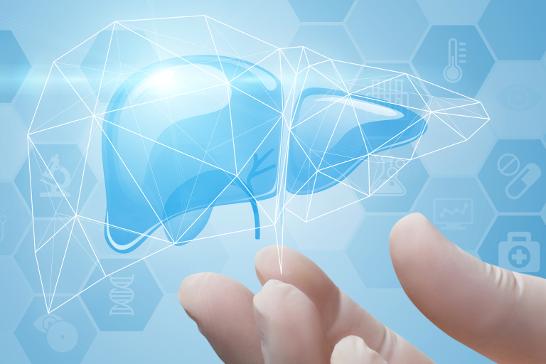 Test gratuito per l’epatite C per chi ha tra i 35 e i 55 anni