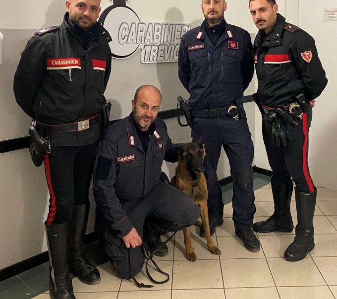 Il fiuto di “Cooper”, unità cinofila casatese, ritrova l’arma del delitto di Pontirolo