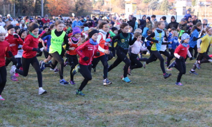 Trofeo Lanfritto Maggioni, un successo il 50esimo anniversario: 800 atleti in gara FOTOGALLERY