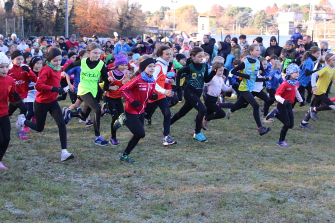 Trofeo Lanfritto Maggioni, un successo il 50esimo anniversario: 800 atleti in gara FOTOGALLERY