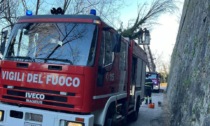 Vento forte: super lavoro per i Vigili del fuoco