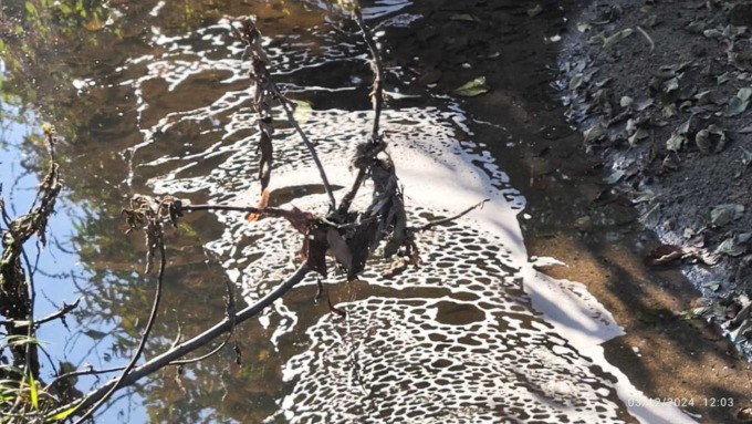 “Scarichi incontrollati nel Bevera a Barzanò”