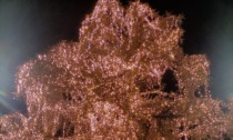 La magia del Natale arriva a Lecco con la mostra dei presepi e l'albero illuminato