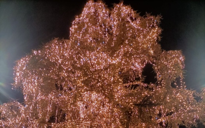 La magia del Natale arriva a Lecco con la mostra dei presepi e l’albero illuminato