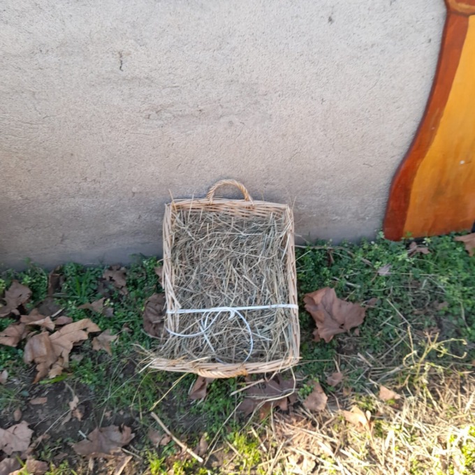 Rubato Gesù Bambino dal presepe del Parco