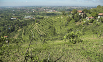 Parco del Curone, giochi chiusi ma conti aperti. E il centrosinistra è intervenuto tardivamente