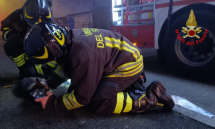 Divampa un incendio in cucina, soccorso... il gatto