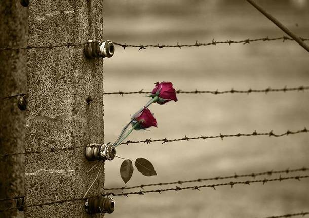 Anche Casatenovo celebra il Giorno della memoria: tante le iniziative