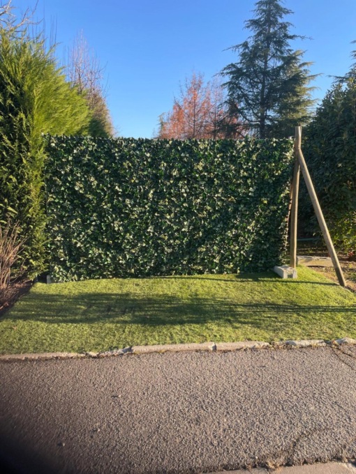 Parco e Berlusconi, il M5S di Merate mette i puntini… sulle B