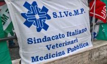 Veterinari aggrediti, interviene il sindacato Sivemp: "Misure insufficienti"