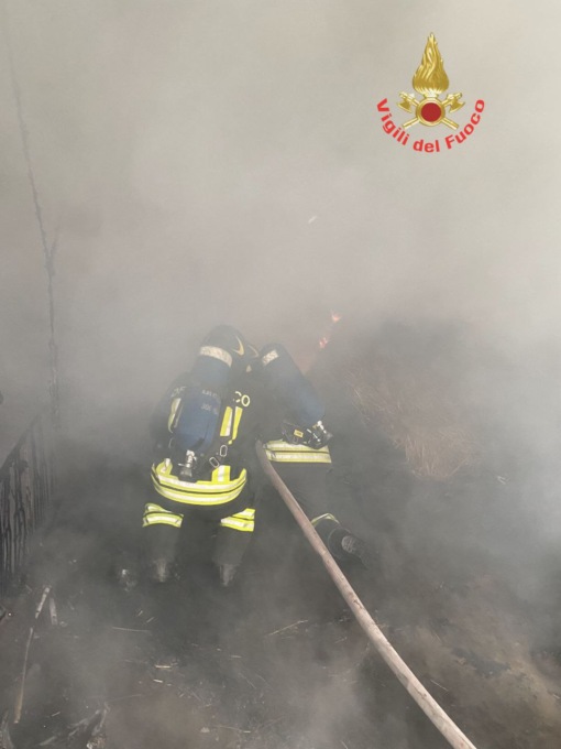 Incendio, muore per salvare i suoi animali