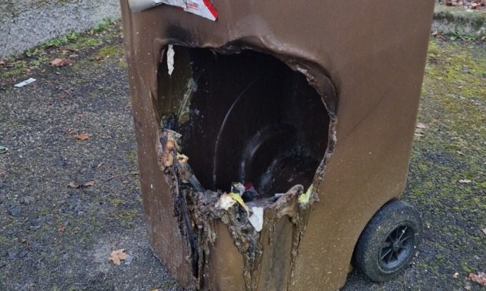 Danno fuoco a un bidone dell’immondizia, nei guai due baby vandali