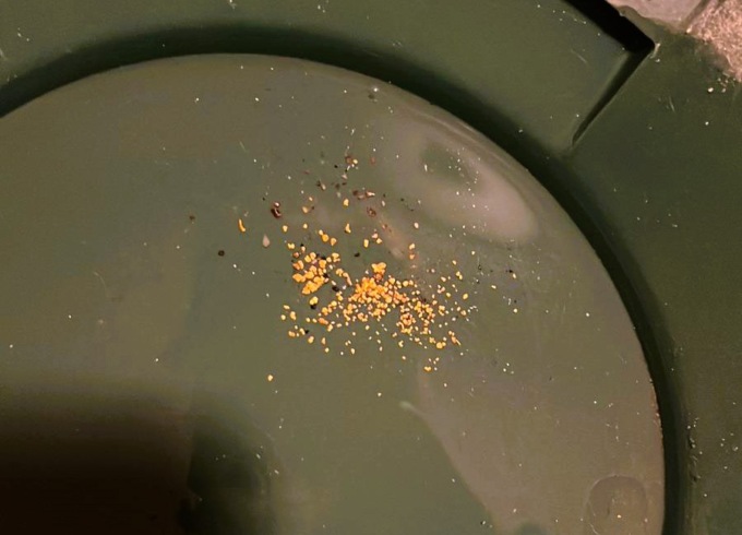 L’oro dell’Adda, i cercatori in azione lungo l’alzaia