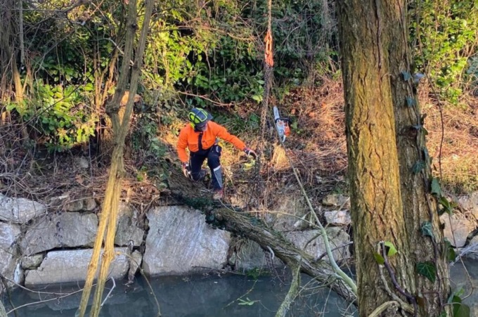 Protezione civile di Chignolo d’Isola, interventi di rimozione delle piante pericolanti 