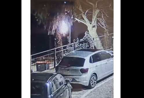 Brucia un albero ma viene ripreso dalle telecamere: denunciato IL VIDEO