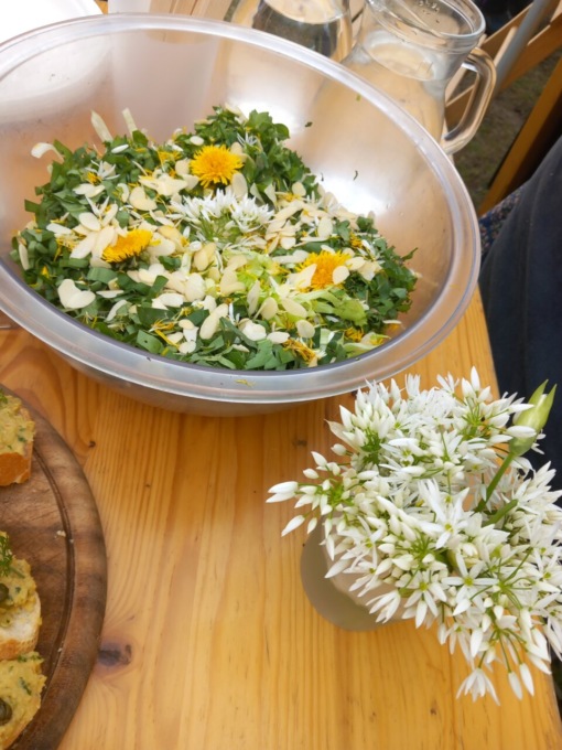 Due giornate dedicate alle erba spontanee a Cascina Rapello