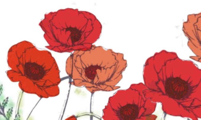 25 aprile e lutto nazionale per il Papa, Arci Lecco: “Fate casino!”