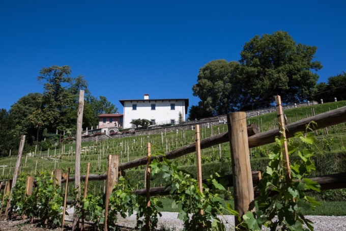 Nuova vita per il parco di Villa Calchi