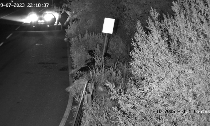 Abbandono rifiuti sulle Provinciali bergamasche, servono più telecamere