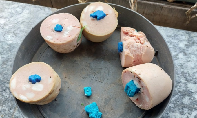 Bocconi avvelenati nel giardino di una casa: “Volevano uccidere il mio cane”