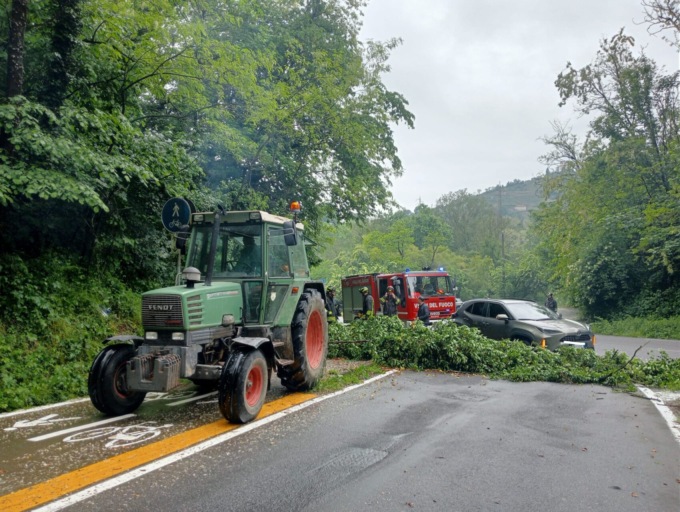 Strada bloccata da un albero caduto