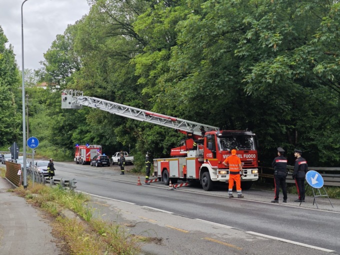 Maltempo: riaperta la provinciale chiusa per un albero pericolante
