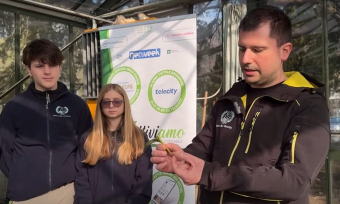 Come nascono e si propagano le piante: ecco i metodi per favorirne la crescita