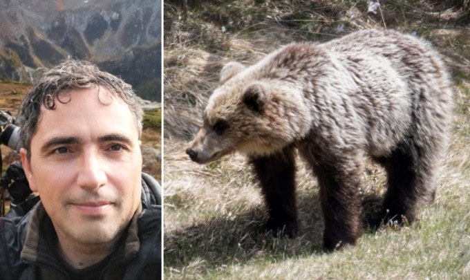 A tu per tu con l’orso, l’incredibile incontro di un brianzolo in Valtellina