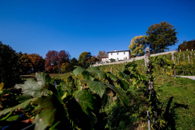 Cena e asta benefica a Villa Calchi per sostenere la ricerca di Gri Italia