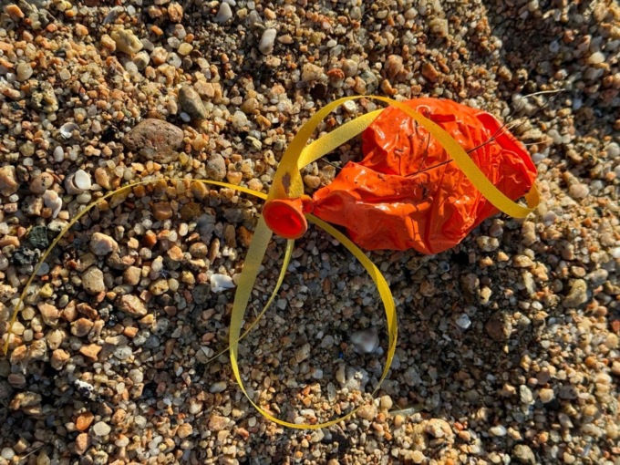No al lancio di palloncini, Plastic Free ferma l’iniziativa della scuola