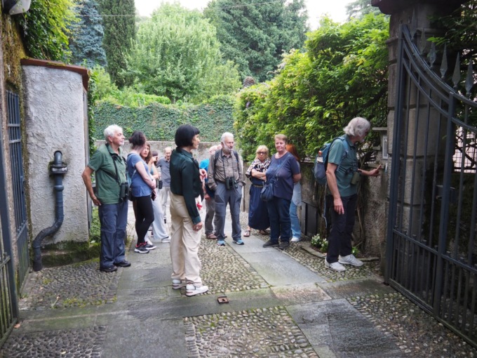 Word Swift Day ad Arlate: tra storia, natura e rondoni da salvare