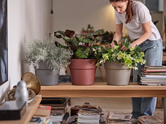 Non solo per bere: usare brocche e caraffe come vasi per fiori