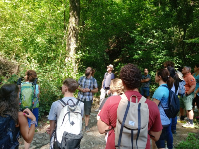 Rigenerare i castagneti: un progetto per la comunità e l’ambiente