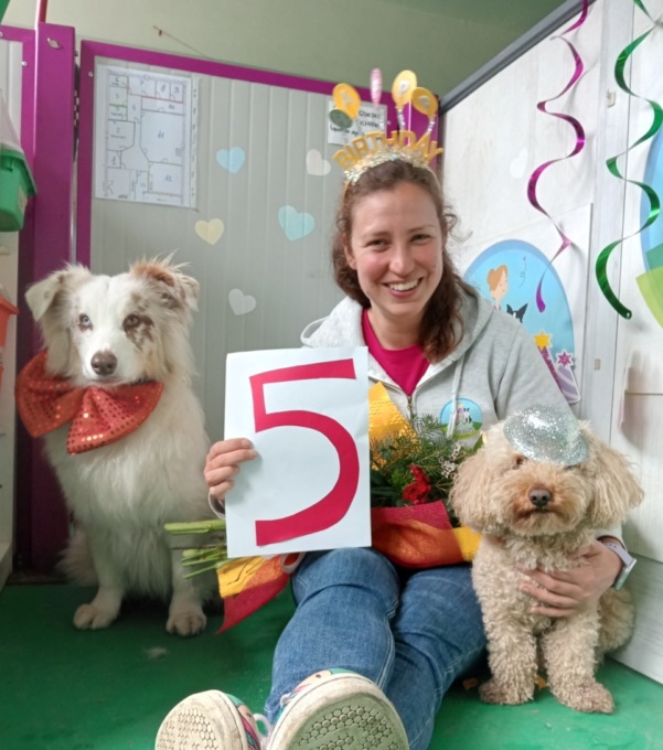 L’asilo per cani “Amici di Ceci”  spegne le sue prime 5 candeline