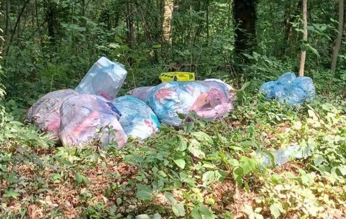 Abbandona la spazzatura nel bosco: beccato