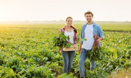 A Bergamo i Neet sotto la media lombarda ed europea