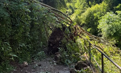 Maltempo: una nuova frana “si abbatte” sullo Stallazzo