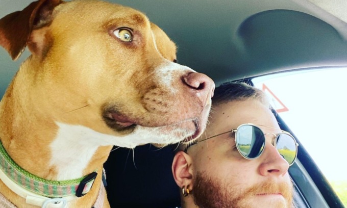 Mulan scomparsa in Brianza: si sospetta un rapimento