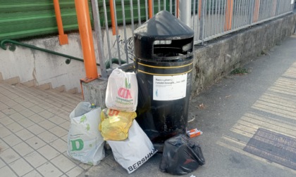 Rifiuti abbandonati, via il cestino: «Sono stato spostato, potrei non tornare più»