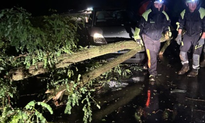 Maltempo nel Meratese: albero crolla su un’auto in transito