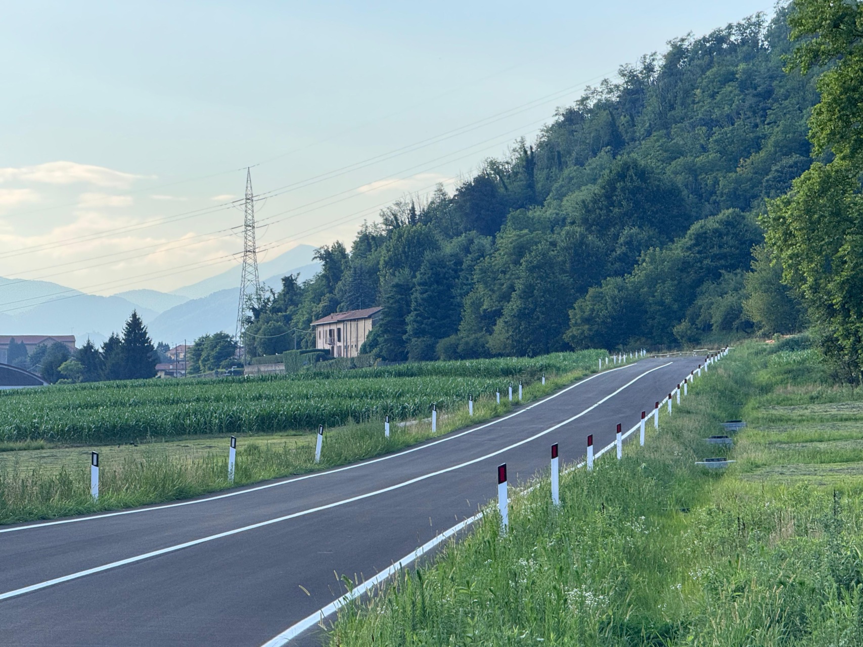 WhatsApp Image 2025-07-17 at 13.53.21