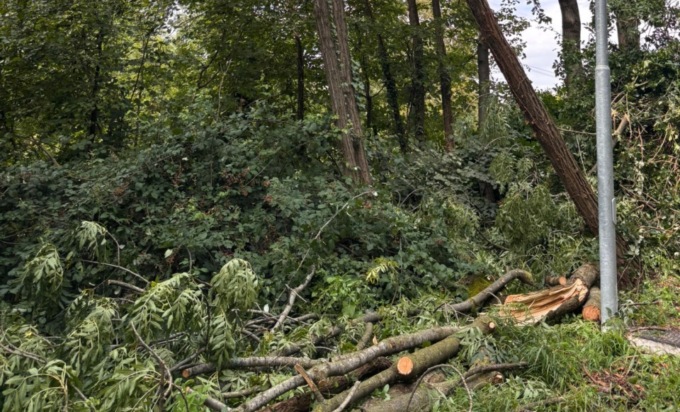 Alberi caduti e pericolanti: riaperta via Montello a Castello Brianza
