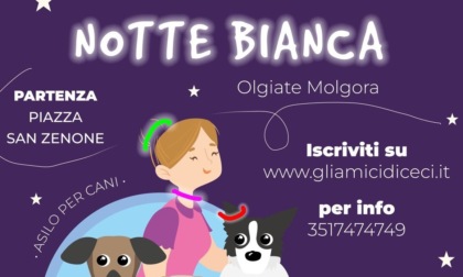 Camminata fluo con i cani: alla Notte Bianca a Olgiate Molgora si viaggia a… sei zampe