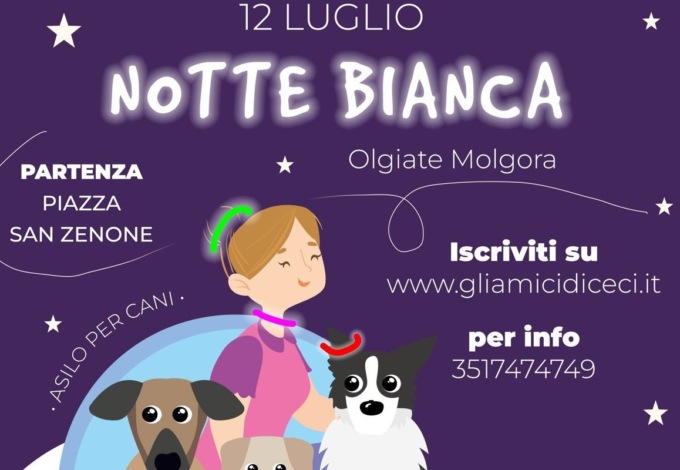 Camminata fluo con i cani: alla Notte Bianca a Olgiate Molgora si viaggia a… sei zampe