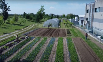 Orti sociali: luoghi di aggregazione, rinascita e di educazione ambientale