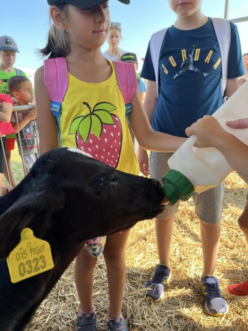 Torna la Fiera di San Gaetano a Rogoredo: quest’anno è la 74^ edizione TUTTO IL PROGRAMMA