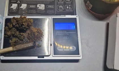 Controlli serali: la Polizia Locale sequestra marijuana