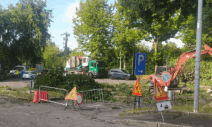 Per la nuova rotatoria si abbattono 17 alberi, minacce di morte al sindaco