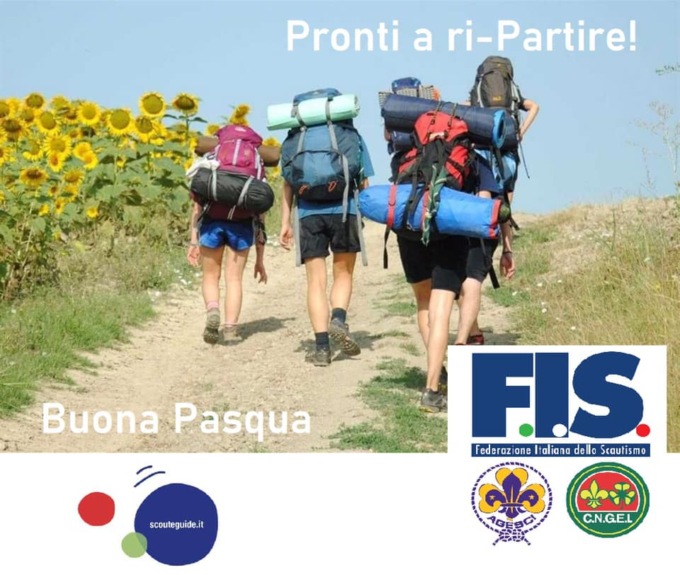 Gruppo di scout intossicato dal cibo al campo estivo